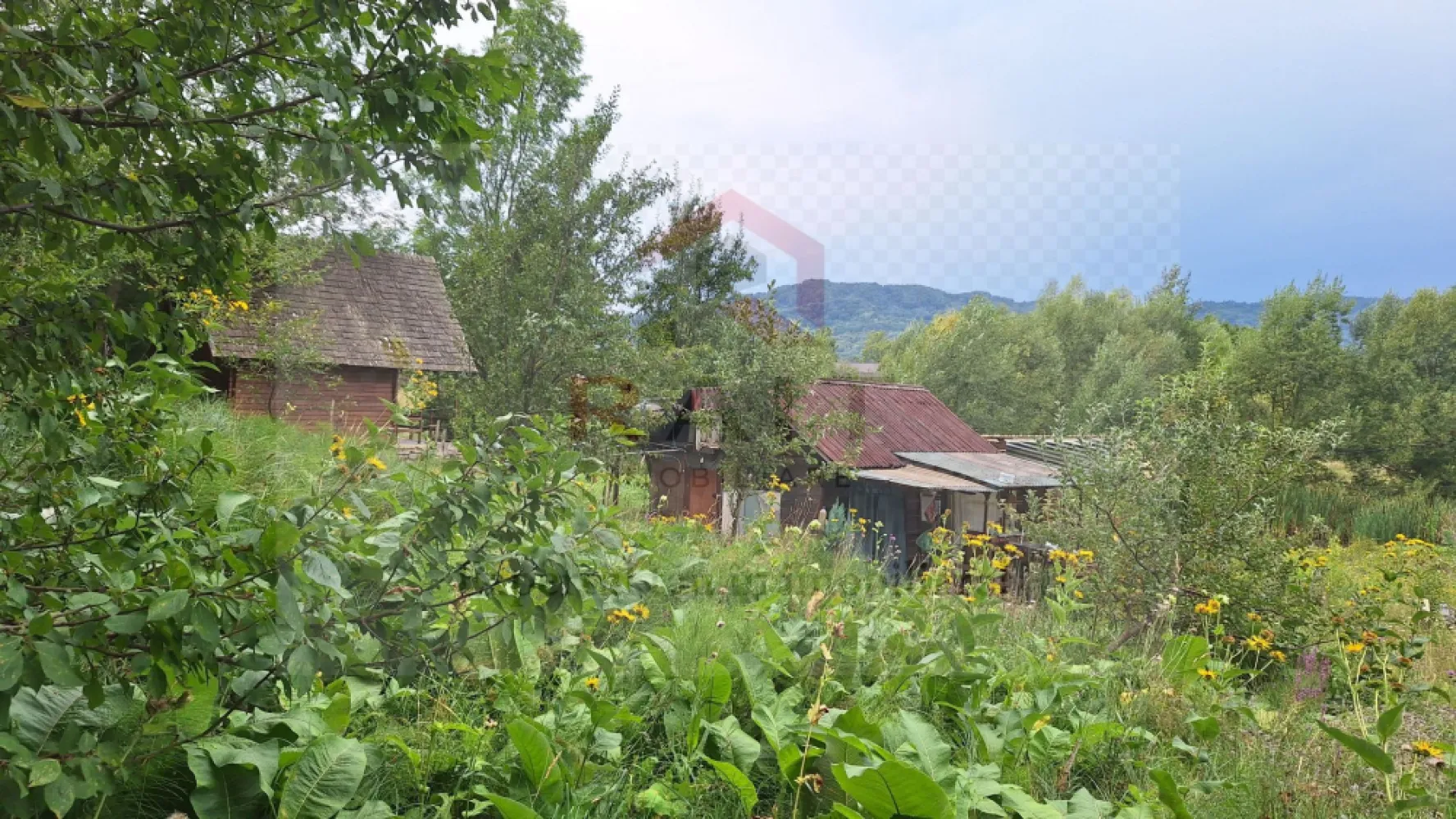 VANZARE ANSAMBLU CASUTE BRADULET ARGES