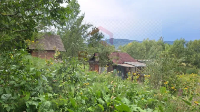 VANZARE ANSAMBLU CASUTE BRADULET ARGES