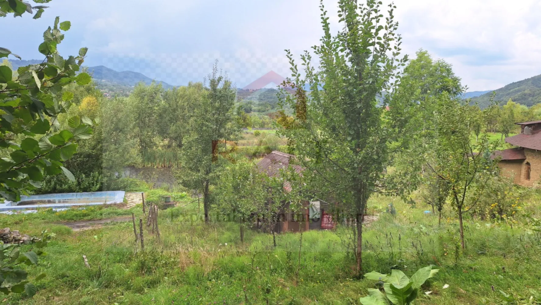 VANZARE ANSAMBLU CASUTE BRADULET ARGES