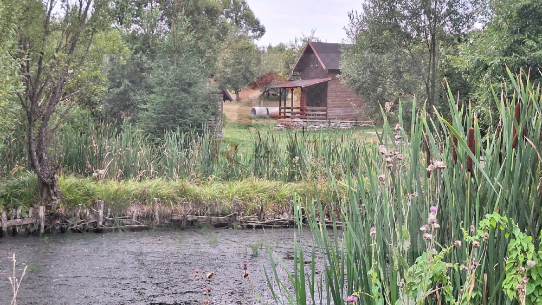 VANZARE ANSAMBLU CASUTE BRADULET ARGES