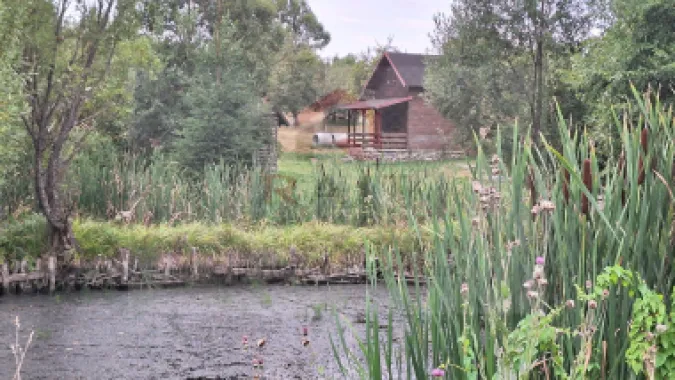 VANZARE ANSAMBLU CASUTE BRADULET ARGES