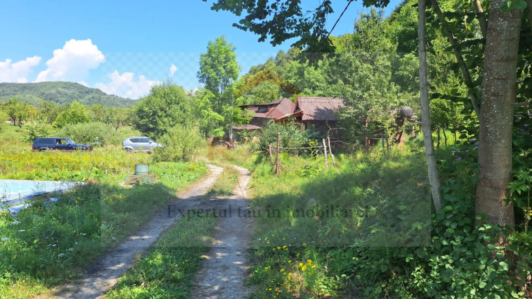 VANZARE ANSAMBLU CASUTE BRADULET ARGES