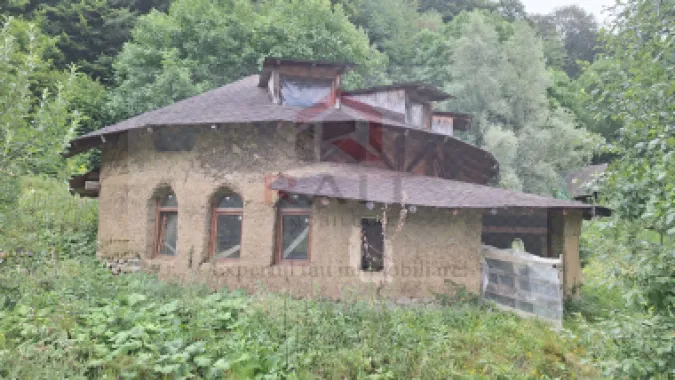 VANZARE ANSAMBLU CASUTE BRADULET ARGES