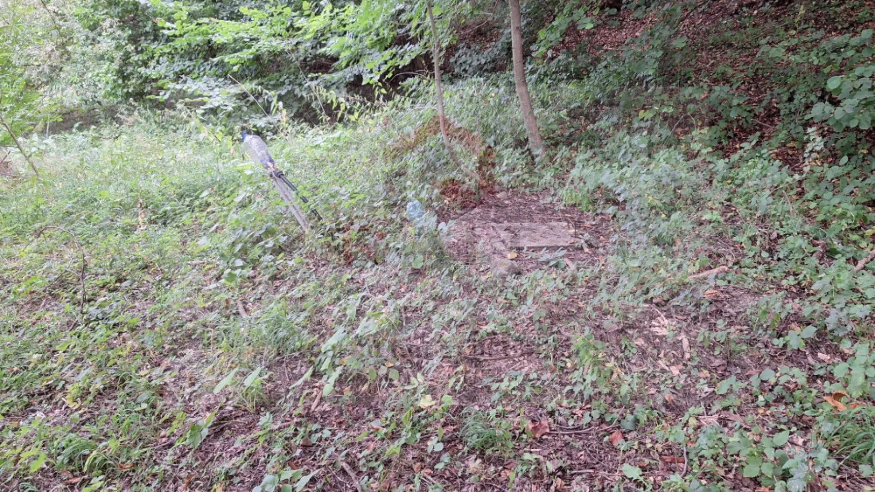 VANZARE ANSAMBLU CASUTE BRADULET ARGES