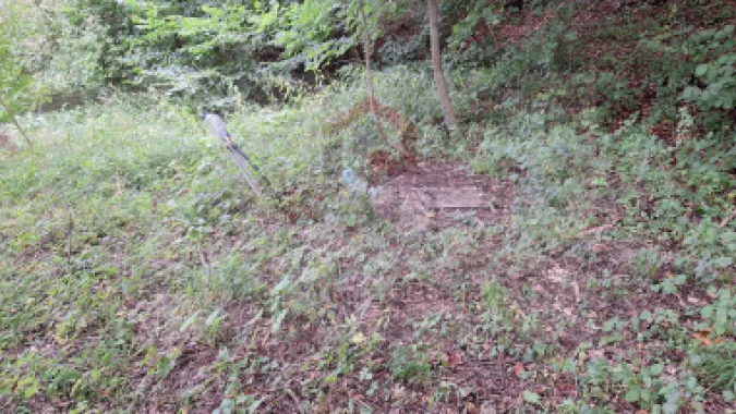 VANZARE ANSAMBLU CASUTE BRADULET ARGES