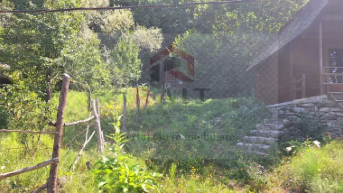 VANZARE ANSAMBLU CASUTE BRADULET ARGES