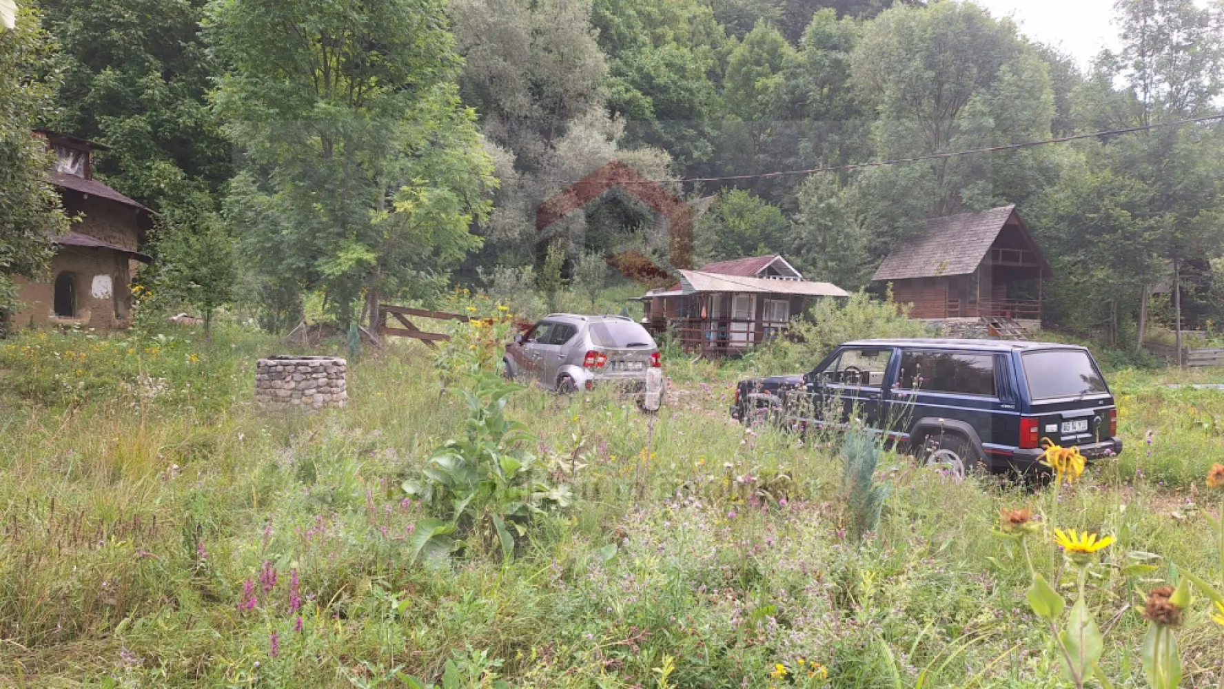 VANZARE ANSAMBLU CASUTE BRADULET ARGES