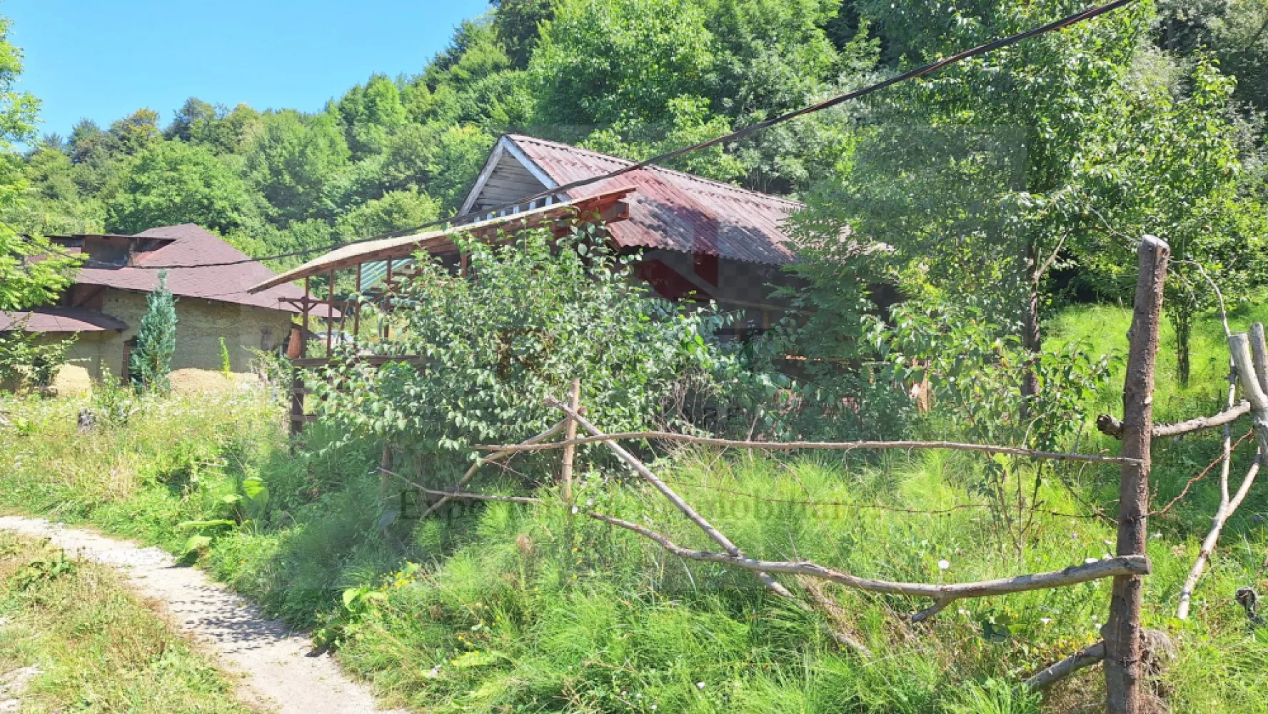 VANZARE ANSAMBLU CASUTE BRADULET ARGES