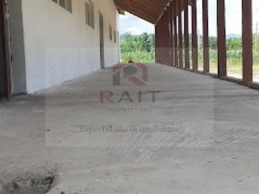 Hala de Inchiriat Godeni Arges