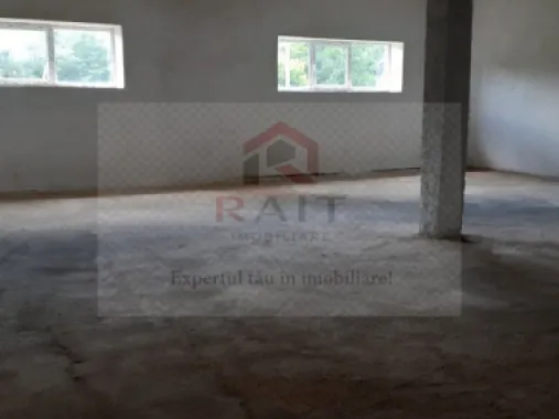 Hala de Inchiriat Godeni Arges