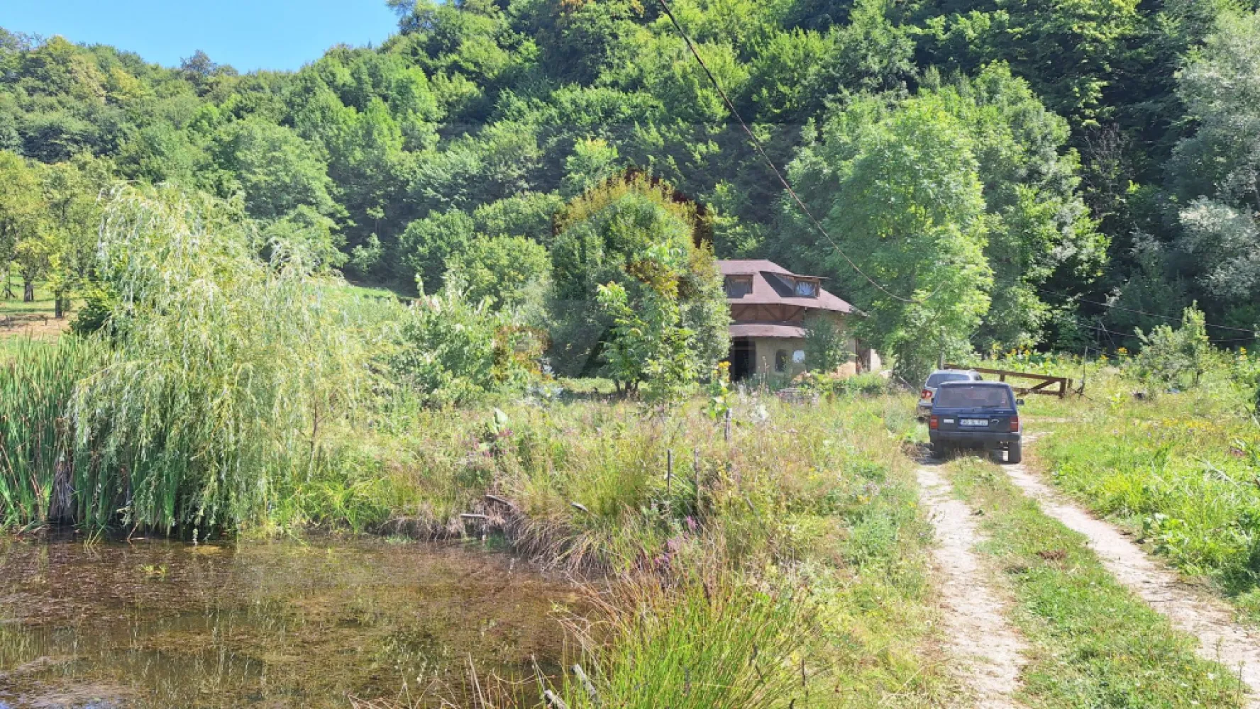 VANZARE ANSAMBLU CASUTE BRADULET ARGES