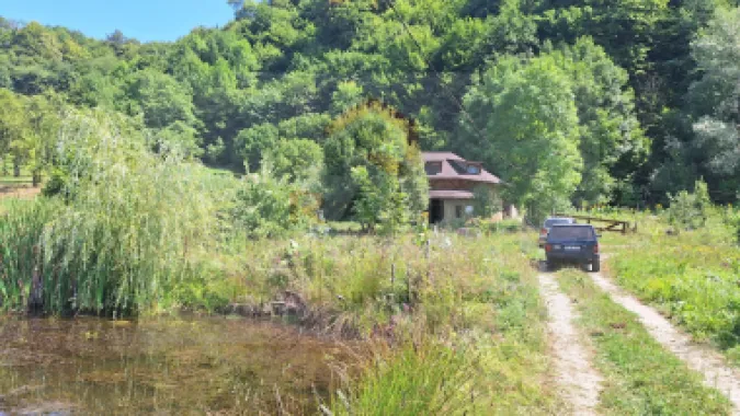 VANZARE ANSAMBLU CASUTE BRADULET ARGES