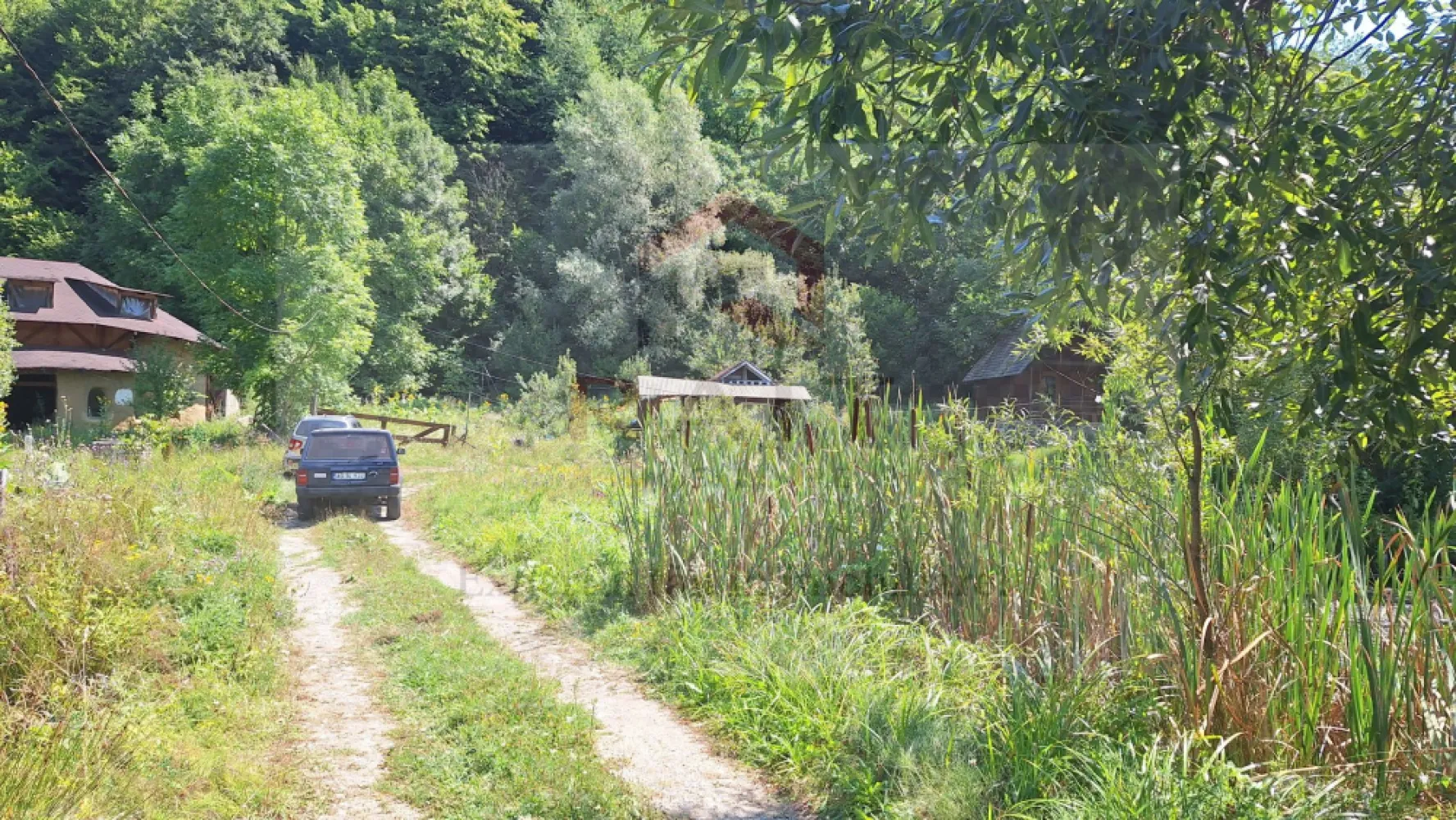 VANZARE ANSAMBLU CASUTE BRADULET ARGES