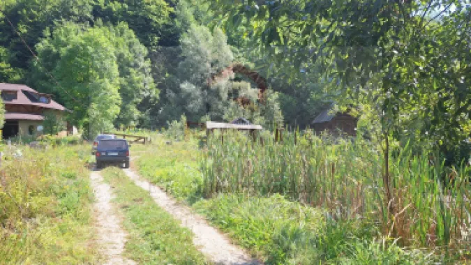 VANZARE ANSAMBLU CASUTE BRADULET ARGES