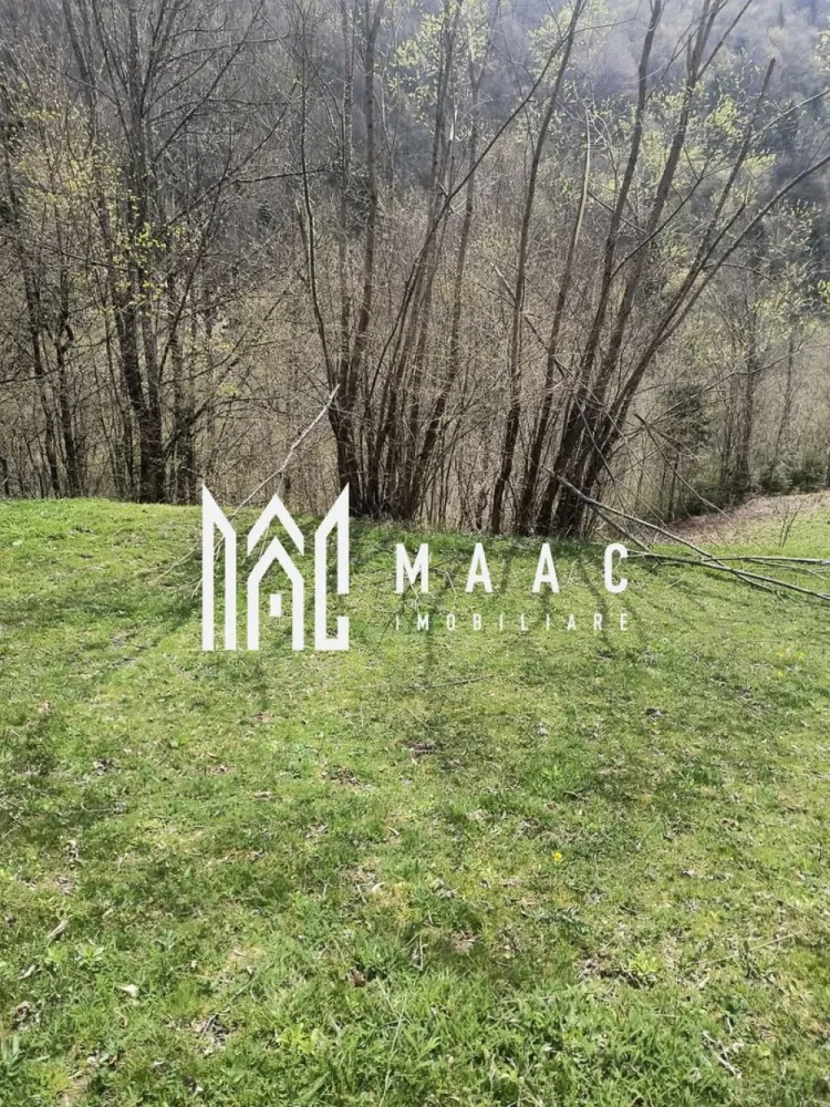 Un colt de rai in Apuseni I viața ca pe vremuri