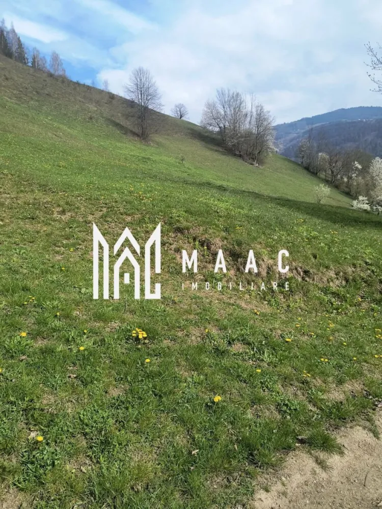 Un colt de rai in Apuseni I viața ca pe vremuri