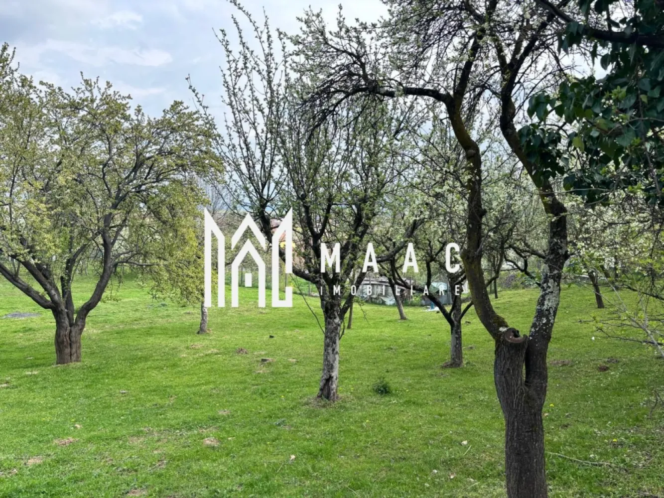 Teren Intravilan | 855 MP | Săliște - MAAC vă propune spre vânzare un teren intravilan cu un real potențial, situat în pitoreasca localitate Săliște, în inima Mărginimii Sibiului – o zonă recunoscută pentru autenticitatea sa, aerul curat și cadrul natural deosebit.

Proprietatea are o suprafață de 855 mp și beneficiază de o geometrie excelentă, ideală pentru dezvoltarea unei locuințe individuale. Terenul este deja măsurat și înregistrat în sistemul Eterra, oferind siguranță juridică și transparență în procesul de achiziție.

Unul dintre principalele avantaje îl reprezintă utilitățile disponibile la poartă, facilitând demararea rapidă a construcției. Amplasarea este într-o zonă foarte bună, liniștită, dar totodată accesibilă, perfectă pentru cei care își doresc o locuință într-un cadru natural, departe de agitația urbană, fără a renunța la confort.

Terenul este ideal pentru construirea unei case de locuit, oferind spațiul necesar pentru un proiect personalizat, într-o comunitate cu tradiție și peisaje deosebite.

Prețul este exprimat per metru pătrat și este negociabil.

Pentru mai multe detalii sau pentru a programa o vizionare, vă rugăm să ne contactați specificând ID : CP3029112