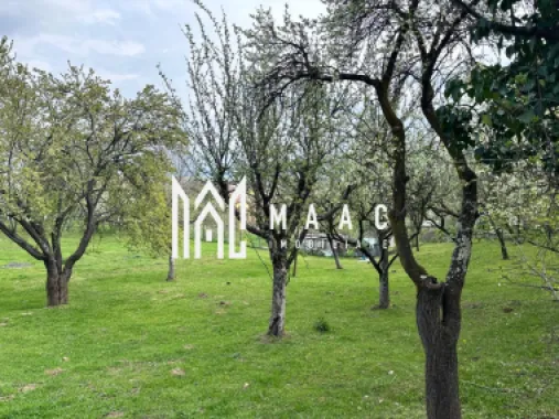 Teren Intravilan | 855 MP | Săliște