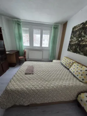 De inchiriat apartament 2 camere, Centru, 300 euro