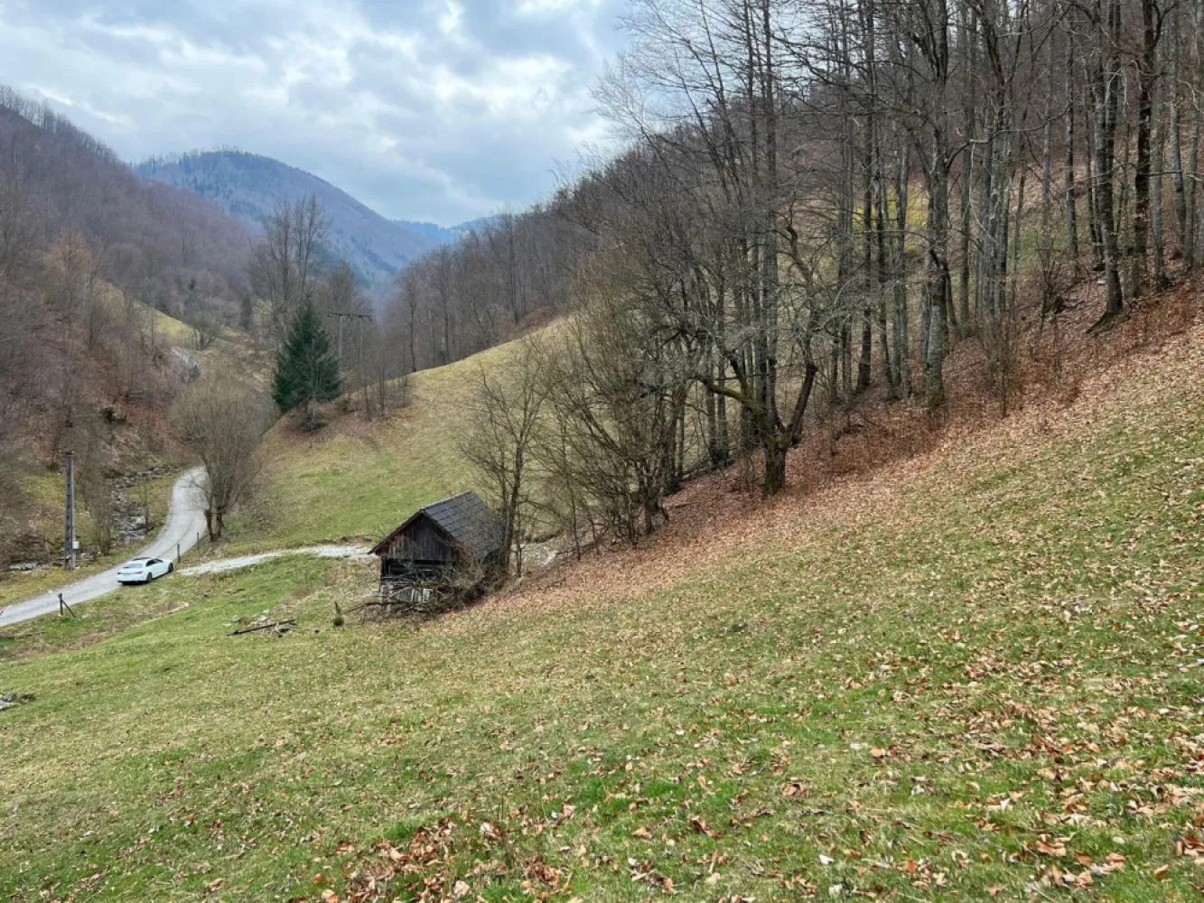 Teren intravilan 1.28ha Remeti–perfect pensiune/cabane, zonă turistica - immoSELL va ofera in exclusivitate Teren intravilan 12.800 mp – Remeti | Locație rară, liniște totală, potențial turistic ridicat Dacă ești în căutarea unui loc cu adevărat special pentru o investiție în turism sau pentru un refugiu în natură, această proprietate îți oferă exact acel „ceva” greu de găsit: liniște absolută, intimitate și peisaj autentic de munte. 🌲 Terenul are o suprafață generoasă de 12.800 mp și este intravilan, pregătit pentru construcții – ideal pentru: pensiune boutique cabane A-frame sau tiny houses glamping exclusivist retreat (yoga, wellness, detox) 📍 Localizare premium – situat în Remeti, într-o zonă apreciată pentru frumusețea naturală și interesul tot mai mare pentru turismul rural și montan. ✨ Ce îl face cu adevărat special: Izolare totală – fără vecini în apropiere Înconjurat de pădure și pășune, perfect pentru relaxare și reconectare Aer curat, liniște deplină, priveliști spectaculoase Acces facil + la doar 500 m de TransApuseana (atracție turistică majoră) Pârâu în imediata vecinătate – ideal pentru un proiect turistic cu atmosferă autentică Acces rapid la energie electrică 📈 Zona este în plină dezvoltare, iar cererea pentru experiențe autentice în natură este în continuă creștere – ceea ce transformă acest teren într-o investiție sigură și valoroasă pe termen mediu și lung. 💰 Preț imbatabil: 50.000 € (negociabil) 📞 Pentru detalii suplimentare sau programarea unei vizionări, contactează-mă cu încredere. Sorin Gligor tel: 0731.290.032 }}