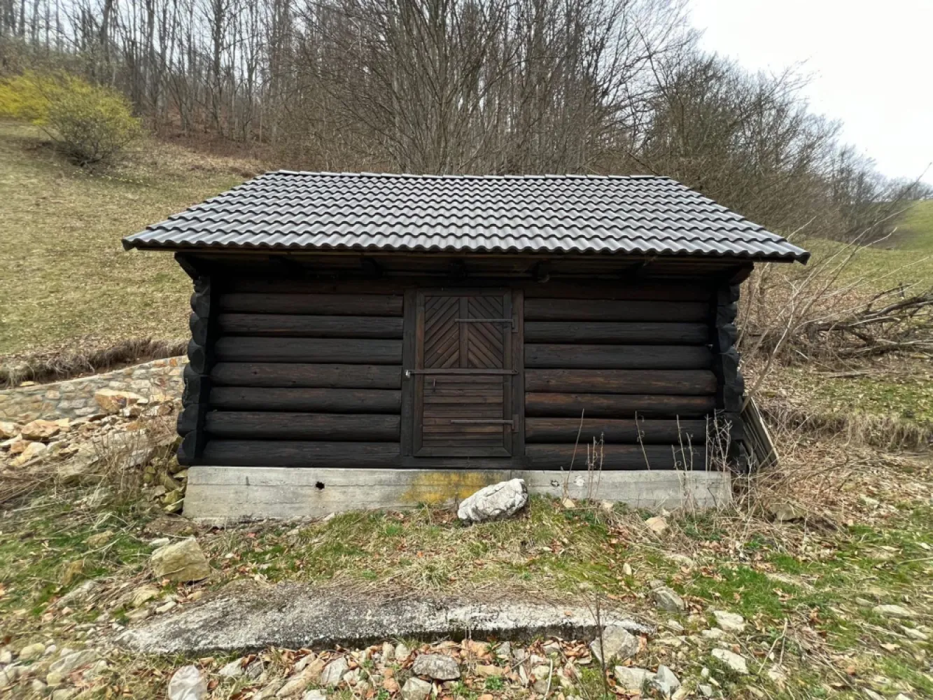 Teren intravilan 1.28ha Remeti–perfect pensiune/cabane, zonă turistica - immoSELL va ofera in exclusivitate Teren intravilan 12.800 mp – Remeti | Locație rară, liniște totală, potențial turistic ridicat Dacă ești în căutarea unui loc cu adevărat special pentru o investiție în turism sau pentru un refugiu în natură, această proprietate îți oferă exact acel „ceva” greu de găsit: liniște absolută, intimitate și peisaj autentic de munte. 🌲 Terenul are o suprafață generoasă de 12.800 mp și este intravilan, pregătit pentru construcții – ideal pentru: pensiune boutique cabane A-frame sau tiny houses glamping exclusivist retreat (yoga, wellness, detox) 📍 Localizare premium – situat în Remeti, într-o zonă apreciată pentru frumusețea naturală și interesul tot mai mare pentru turismul rural și montan. ✨ Ce îl face cu adevărat special: Izolare totală – fără vecini în apropiere Înconjurat de pădure și pășune, perfect pentru relaxare și reconectare Aer curat, liniște deplină, priveliști spectaculoase Acces facil + la doar 500 m de TransApuseana (atracție turistică majoră) Pârâu în imediata vecinătate – ideal pentru un proiect turistic cu atmosferă autentică Acces rapid la energie electrică 📈 Zona este în plină dezvoltare, iar cererea pentru experiențe autentice în natură este în continuă creștere – ceea ce transformă acest teren într-o investiție sigură și valoroasă pe termen mediu și lung. 💰 Preț imbatabil: 50.000 € (negociabil) 📞 Pentru detalii suplimentare sau programarea unei vizionări, contactează-mă cu încredere. Sorin Gligor tel: 0731.290.032 }}