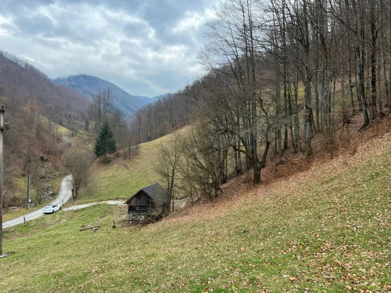 Teren intravilan 1.28ha Remeti–perfect pensiune/cabane, zonă turistica - immoSELL va ofera in exclusivitate Teren intravilan 12.800 mp – Remeti | Locație rară, liniște totală, potențial turistic ridicat Dacă ești în căutarea unui loc cu adevărat special pentru o investiție în turism sau pentru un refugiu în natură, această proprietate îți oferă exact acel „ceva” greu de găsit: liniște absolută, intimitate și peisaj autentic de munte. 🌲 Terenul are o suprafață generoasă de 12.800 mp și este intravilan, pregătit pentru construcții – ideal pentru: pensiune boutique cabane A-frame sau tiny houses glamping exclusivist retreat (yoga, wellness, detox) 📍 Localizare premium – situat în Remeti, într-o zonă apreciată pentru frumusețea naturală și interesul tot mai mare pentru turismul rural și montan. ✨ Ce îl face cu adevărat special: Izolare totală – fără vecini în apropiere Înconjurat de pădure și pășune, perfect pentru relaxare și reconectare Aer curat, liniște deplină, priveliști spectaculoase Acces facil + la doar 500 m de TransApuseana (atracție turistică majoră) Pârâu în imediata vecinătate – ideal pentru un proiect turistic cu atmosferă autentică Acces rapid la energie electrică 📈 Zona este în plină dezvoltare, iar cererea pentru experiențe autentice în natură este în continuă creștere – ceea ce transformă acest teren într-o investiție sigură și valoroasă pe termen mediu și lung. 💰 Preț imbatabil: 50.000 € (negociabil) 📞 Pentru detalii suplimentare sau programarea unei vizionări, contactează-mă cu încredere. Sorin Gligor tel: 0731.290.032 }}