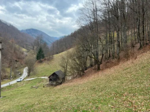 Teren intravilan 1.28ha Remeti–perfect pensiune/cabane, zonă turistica