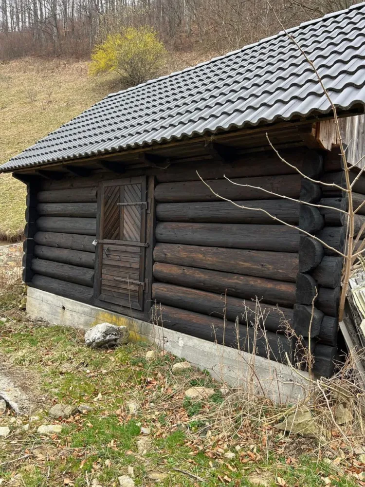 Teren intravilan 1.28ha Remeti–perfect pensiune/cabane, zonă turistica