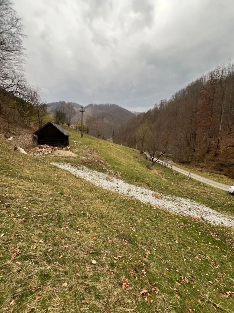Teren intravilan 1.28ha Remeti–perfect pensiune/cabane, zonă turistica