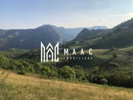 BLACK FRIDAY I Teren cu potențial turistic I 3174 MP | TransApuseana