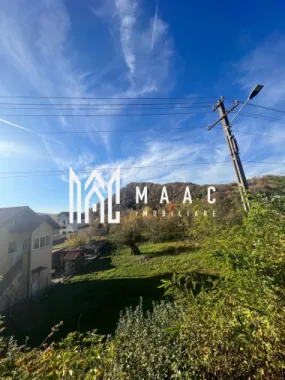 Teren | Vladesti | 1000 MP