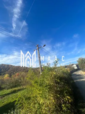 Teren | Vladesti | 1000 MP