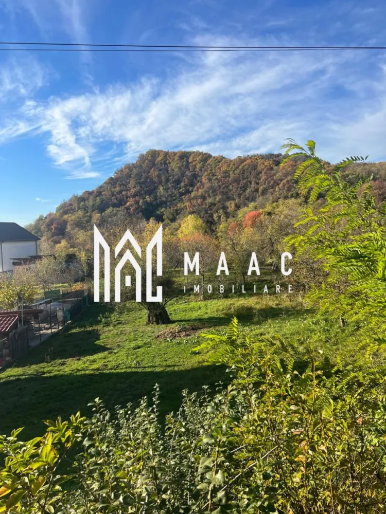 Teren | Vladesti | 1000 MP