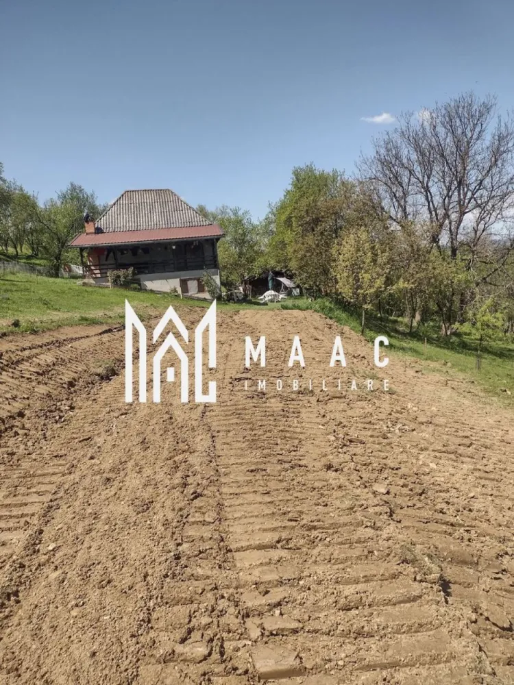 Casa Vantului si 8000 metri patrati in Abrud - MAAC Imobiliare va ofera spre vanzare la iesirea din orasul Abrud, unde munții își întind brațele către vale, se află Casa Vântului. Nu era o locuință obișnuită; era o poveste întruchipată în piatră și lemn, cu răsuflarea pământului în fiecare colț. Casa locuita de proprietari in acest moment Era compusă din două dormitoare, fiecare cu ferestre largi ce prindeau soarele dimineața și lună noaptea. Bucătăria, mică și eficientă, avea un cuptor cu lemne care pâlpâia în serile de iarnă, iar aroma de plăcinte umplea întreaga casă. Baia, simplă și curată, era locul liniștit unde apa curgea dintr-un izvor propriu. Camera, ascunsă după o ușă masivă, păstra conserve, jambale și mirodenii, păstrând proviziile pentru lungile ierni. Scările interioare, din lemn solid, duceau la holul luminat de o lampă veche, care era punctul de întâlnire al tuturor căilor din casă. Terasa, largă și acoperită, era ochiul casei spre lume, unde stăteau să privească cerul și livezile. Grajdul și Fânarul Departe de casă, dar încă în sânul proprietății, se afla grajdul. Nu era doar un loc pentru animale; era un spațiu de viață. Căluții își scuturau coamele la briza de amiază, și vacile rumega liniștit. Fânarul, înalt și umbrit, păstra iarba uscată, mirosul de summer înghețat în bălți de aur. Livezile și Pământul Livezile se întindea pe o parte a terenului de 8000 de metri pătrați – meri, peri și cireși își înălțau ramurile spre soare. În primăvară, ele se îmbrăcau în floare, iar toamna, rodul era atât de mult că se împărțea cu întreg satul. Restul pământului era o alternanță de pajiști și pădure mică, unde copacii bătrâni păstrau tăcerea veșnică a munților. Viața în Casa Vântului Aici, viața nu era măsurată în ore, ci în sezoane. Diminețile începeau cu cântecul cocoșilor, zilele erau umplute cu lucrul pământului și îngrijirea animalelor, și serile se încheiau pe terasa, sub stele. Casa nu era doar un loc de locuit; era un organism care trăia și respira cu cei care o umpleau. Fiecare cameră avea o poveste, fiecare colț păstra o amintire, și întreaga proprietate era o hartă a unei vieți simple, dar pline. În Abrud, judetul Alba, Casa Vântului nu era doar o construcție; era o parte a pământului, o bucată de istorie și un refugiu pentru sufletele care căutau liniștea și rostul în ritmurile naturale ale vieții. Așa stătea, solidă și generoasă, așteptând să împartă din caldul ei cu oricine trecea pe la ușa ei. Pentru mai multe detalii precizati telefonic ca ati vazut anuntul cu ID CP3047140. }}