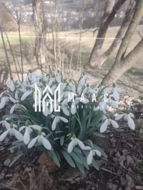 Casa Vantului si 8000 metri patrati in Abrud