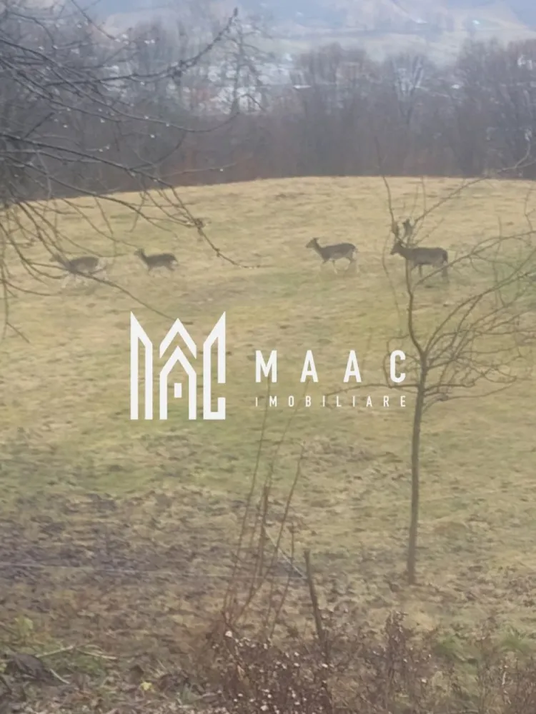 Casa Vantului si 8000 metri patrati in Abrud