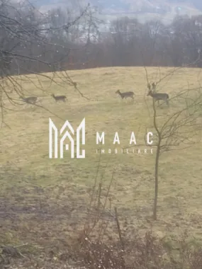 Casa Vantului si 8000 metri patrati in Abrud