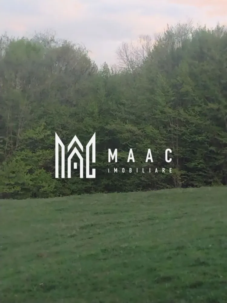 Casa Vantului si 8000 metri patrati in Abrud