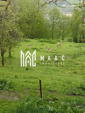 Casa Vantului si 8000 metri patrati in Abrud