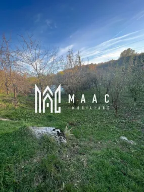 Casa cu livada | Bujoreni | 1550 mp