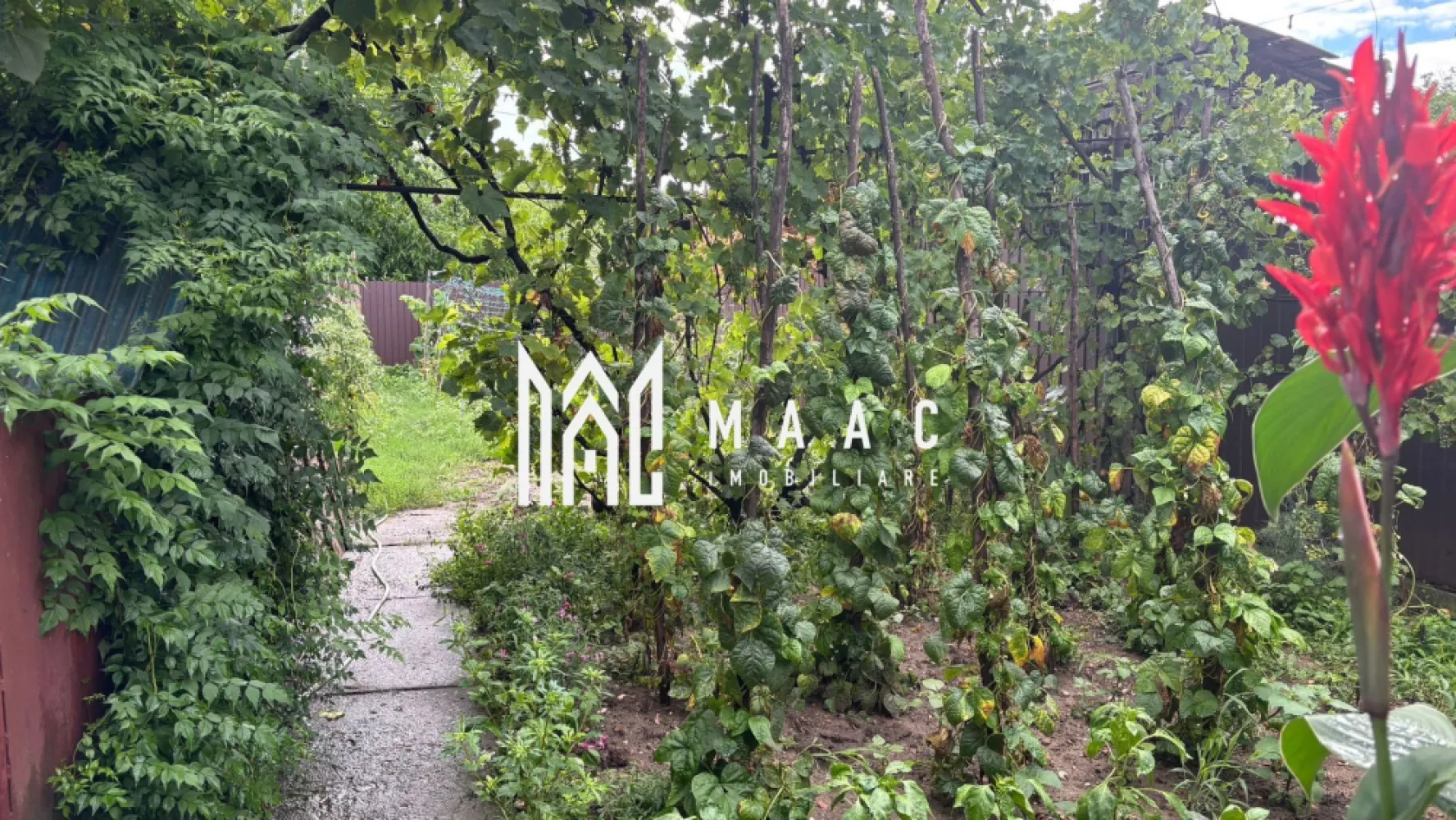 Casa individuala 4 camere I Acces auto I Teren 480mp I Blaj