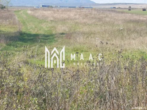 Logo MAAC IMOBILIARE logo