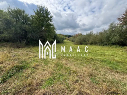 Logo MAAC IMOBILIARE logo