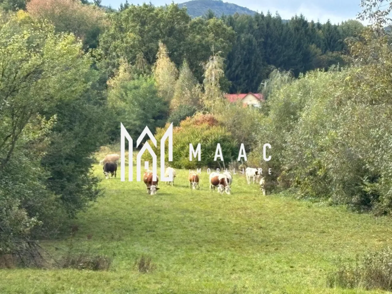 Teren intravilan | UTILITATI | 4717MP | TOCILE - MAAC Imobiliare vă propune spre vânzare un teren intravilan situat în Tocile, o zonă în plină dezvoltare, apreciată pentru liniște, aer curat și accesibilitate rapidă către orașul Sibiu. Detalii proprietate: Suprafață totală: 4.717 mp PUZ aprobat – potrivit pentru construcția de locuințe sau dezvoltare imobiliară Utilități disponibile: apă, canalizare, curent electric Deschidere la drum județean: 31 m Terenul oferă o panoramă spectaculoasă asupra zonei și beneficiază de acces facil către Sibiu, fiind o oportunitate excelentă atât pentru construcția unei locuințe individuale, cât și pentru investiție în dezvoltare imobiliară Pentru detalii suplimentare și vizionări, vă invităm să contactați echipa MAAC Imobiliare – consultanță profesională și suport complet în procesul de achiziție specificati telefonic ca ati vazut anuntul cu ID : CP2796562 }}