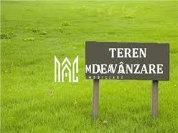 Teren Extravilan | 25.000 Mp | Valea Avrigului