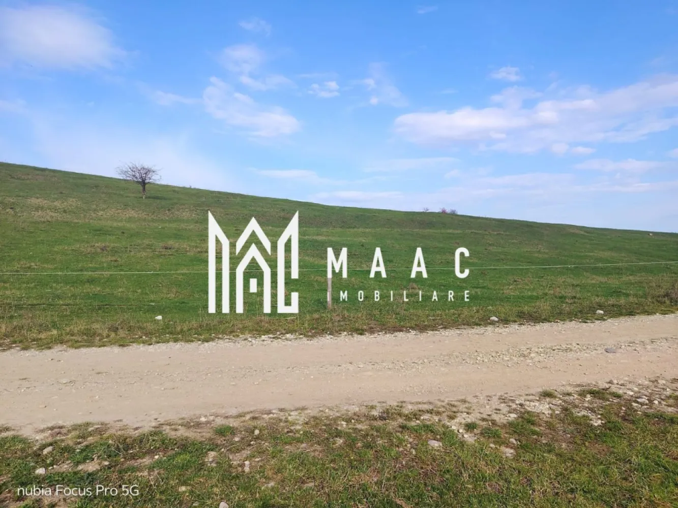 Teren extravilan | Zona Aeroport | 5600MP - MAAC Imobiliare vă propune spre vânzare un teren extravilan în zona Turnișor. Terenul este perfect pentru relaxare într-o zonă cu aer curat și liniste. Accesul către teren se face ușor cu mașina din zona Turnișor. Pentru mai multe detalii, specificați ID: CP2795712. }}