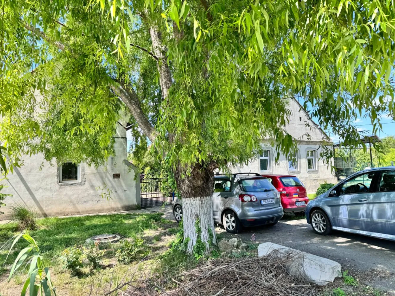 Casă de vânzare - 🏡 **Oportunitate în Iecea Mare – spațiu generos, liniște și potențial de dezvoltare!**Îți dorești o viață liniștită la țară sau cauți locul ideal pentru a începe o afacere? Această proprietate îți oferă exact combinația perfectă între confort, spațiu și oportunități.📍 **Localizare:** Iecea Mare, la aproximativ **38 km de Timișoara**📐 **Detalii proprietate:*** Suprafață totală teren: **3000 mp*** Suprafață utilă: **234 mp*** **2 case în aceeași curte** – ideal pentru locuit + afacere sau familie extinsă* **4 camere** spațioase* 1 bucătărie, 1 baie* Încălzire centrală pe lemne* Tip clădire: **singur în curte*** An construcție: **1941**🌳 **Avantaje care fac diferența:*** Curte foarte mare – perfectă pentru agricultură, grădinărit, depozitare sau dezvoltarea unei afaceri (atelier, pensiune, spațiu de producție etc.)* Locație liniștită – ideală pentru cei care vor să evadeze din agitația orașului* Acces relativ rapid către Timișoara* Posibilitate de amenajare după propriul gust* Potrivită atât pentru locuință permanentă, cât și pentru investiție💰 **Preț: 65.000 € (negociabil)**✨ Fie că visezi la o gospodărie tradițională, fie că vrei să îți dezvolți propria afacere într-un spațiu generos, această proprietate îți oferă libertatea de a crea exact ceea ce îți dorești.📞 Pentru mai multe detalii sau vizionare, nu ezita să mă contactezi!&nbsp; }}