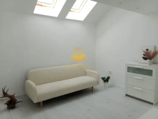 3 camere, moder, curte 105 mp, Parcul Central, Polivalenta, central