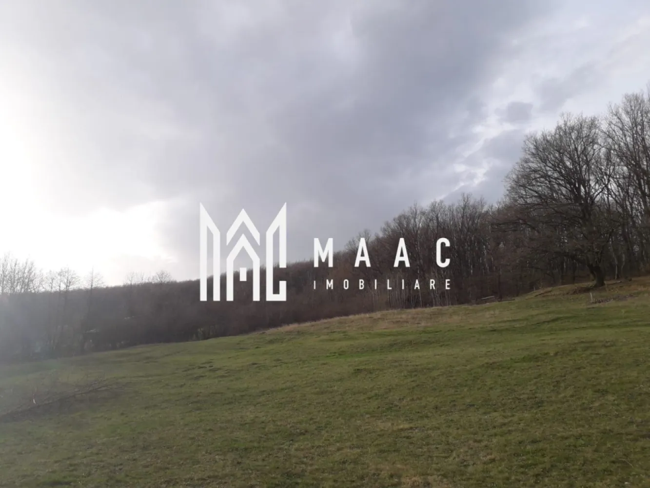 Teren Extravilan 4.572mp | Zonă liniștită | Sadu