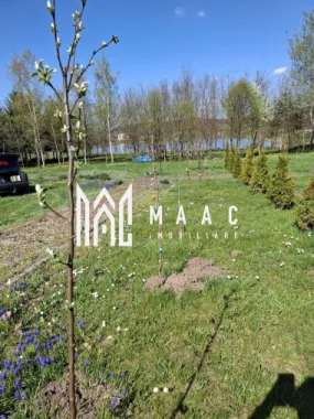 Teren Intravilan | 1150 mp | Săliște